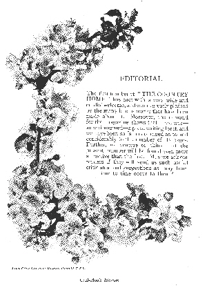 tenchleys0001 tenchleys0001